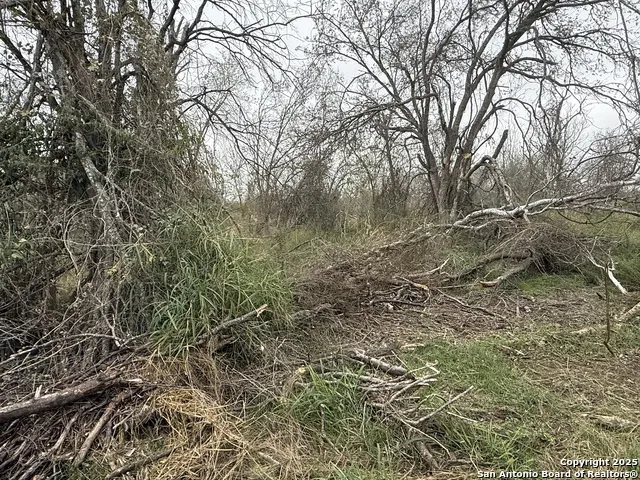 TBD Gidley Atascosa, TX 78002