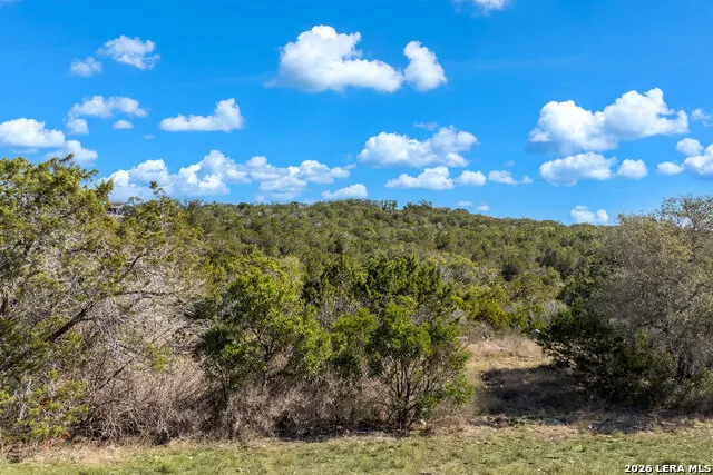 171 County Road 2814 Mico, TX 78056