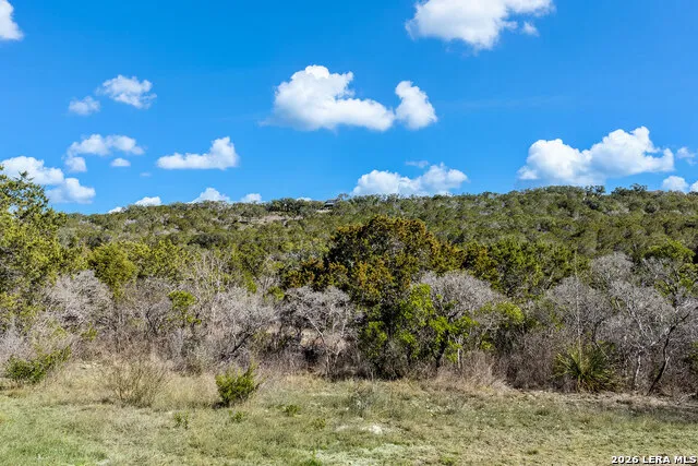 171 County Road 2814 Mico, TX 78056