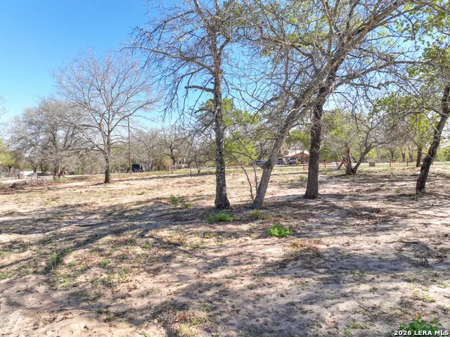 TBD County Road 6864 Natalia, TX 78059