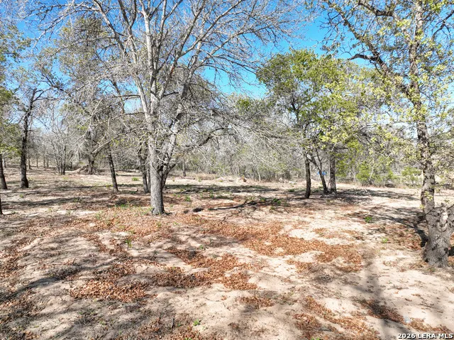 TBD County Road 6864 Natalia, TX 78059
