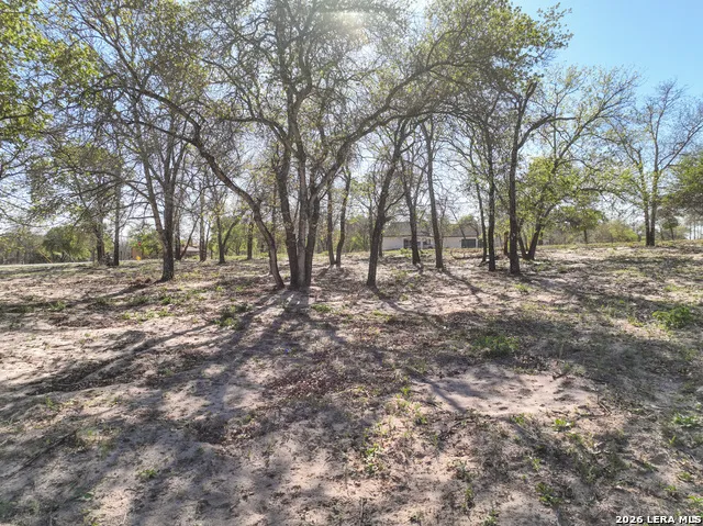 TBD County Road 6864 Natalia, TX 78059