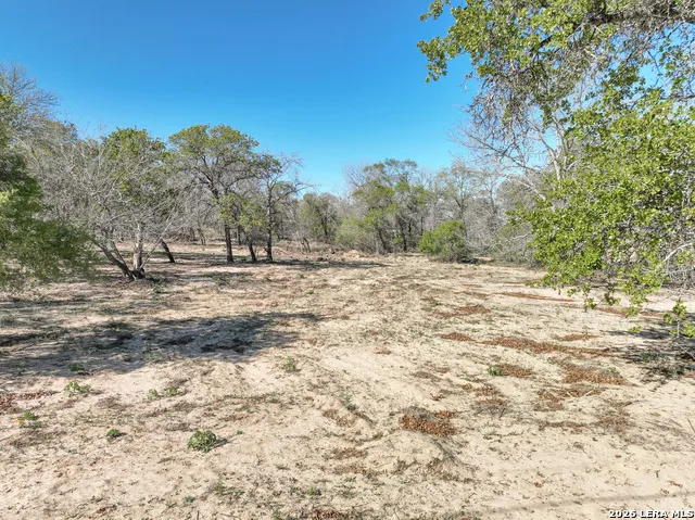 TBD County Road 6864 Natalia, TX 78059