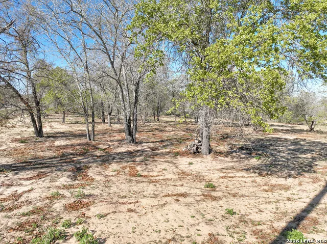 TBD County Road 6864 Natalia, TX 78059