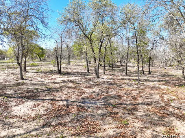 TBD County Road 6864 Natalia, TX 78059