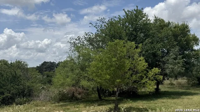 290 Strasbourg Castroville, TX 78009