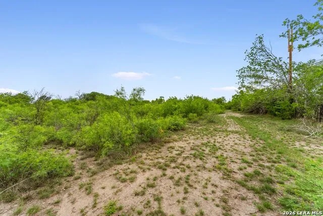 17272 Fm 463 Natalia, TX 78059