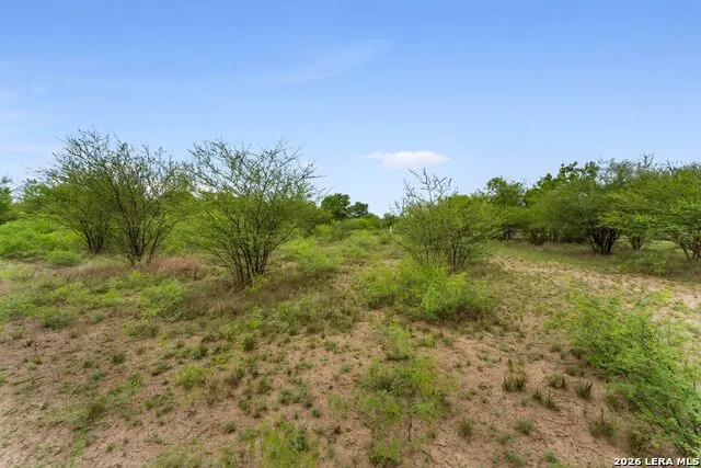 17272 Fm 463 Natalia, TX 78059