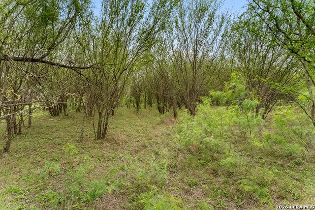 17272 Fm 463 Natalia, TX 78059