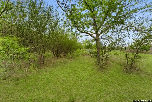 17272 Fm 463 Natalia, TX 78059