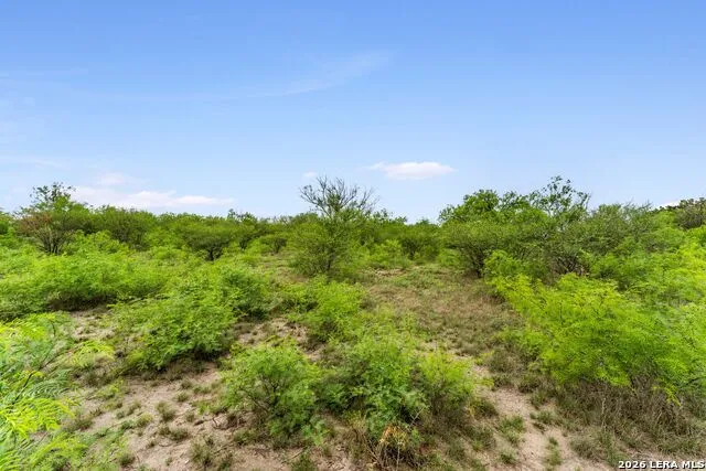 17272 Fm 463 Natalia, TX 78059