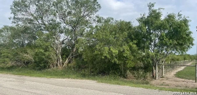 00 CR 613 Skidmore, TX 78389