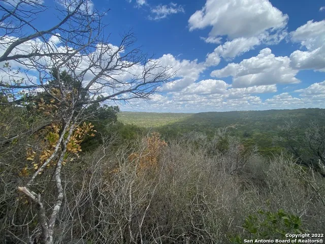 0 County Road 2751 Mico, TX 78056