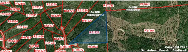 0 County Road 2751 Mico, TX 78056