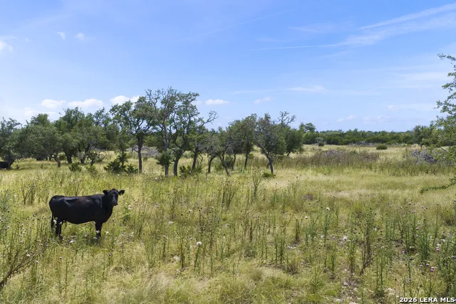 LOT 50 Brooklyn Drive NW Mountain Home, TX 78058