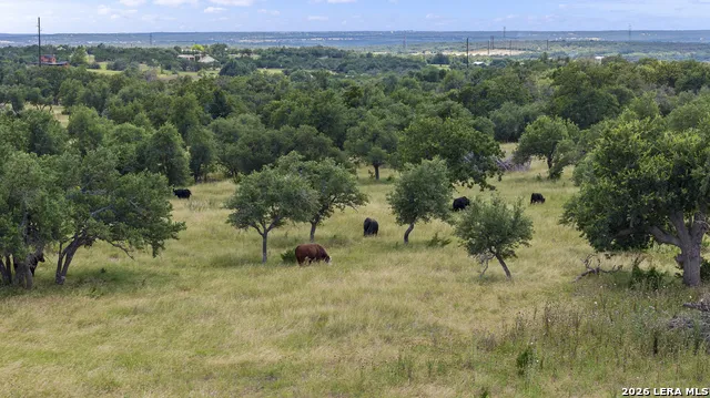 LOT 50 Brooklyn Drive NW Mountain Home, TX 78058