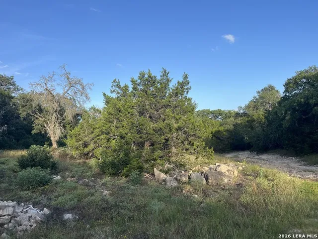 1615 Forest Lake Spring Branch, TX 78070
