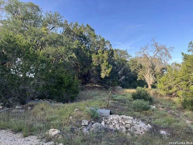 1615 Forest Lake Spring Branch, TX 78070