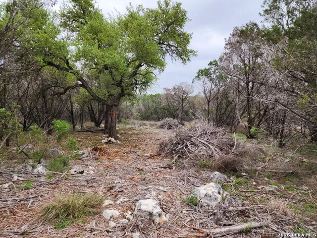 1745 Moon View New Braunfels, TX 78132