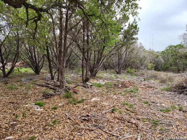 1745 Moon View New Braunfels, TX 78132