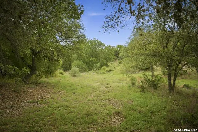 31368 Wildcat Dr Bulverde, TX 78163