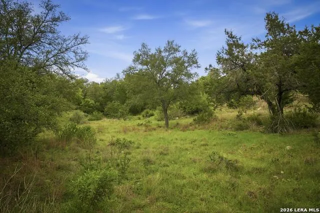 31368 Wildcat Dr Bulverde, TX 78163