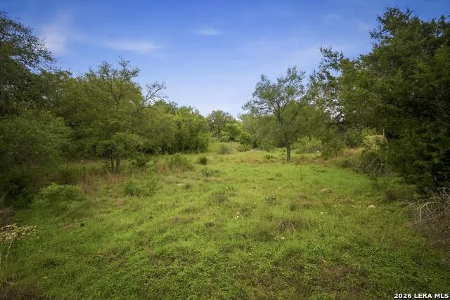 31368 Wildcat Dr Bulverde, TX 78163