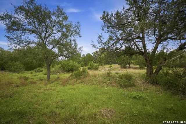31368 Wildcat Dr Bulverde, TX 78163
