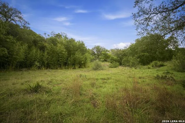 31368 Wildcat Dr Bulverde, TX 78163
