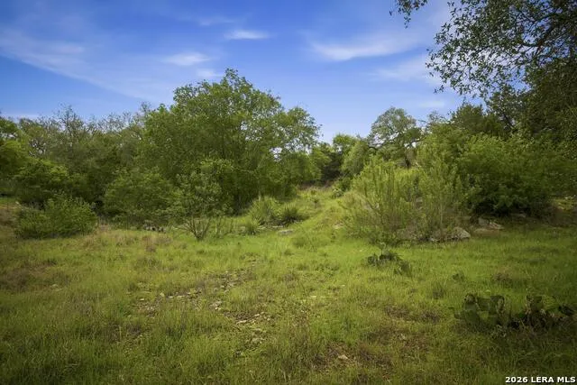 31368 Wildcat Dr Bulverde, TX 78163