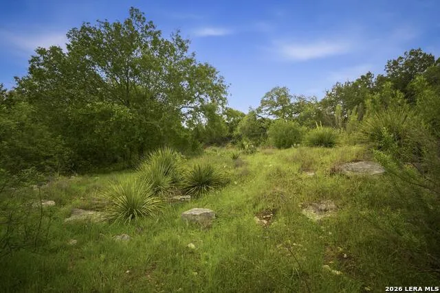 31368 Wildcat Dr Bulverde, TX 78163