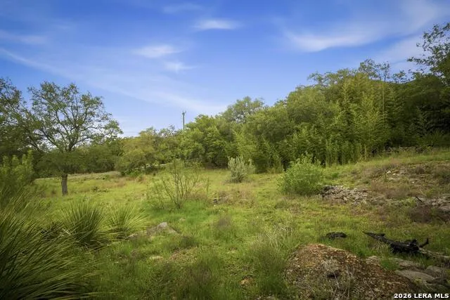 31368 Wildcat Dr Bulverde, TX 78163