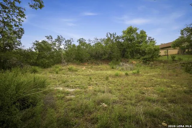 31368 Wildcat Dr Bulverde, TX 78163
