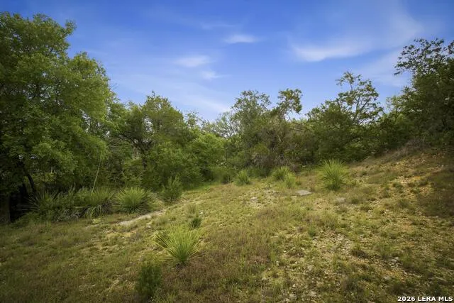 31368 Wildcat Dr Bulverde, TX 78163
