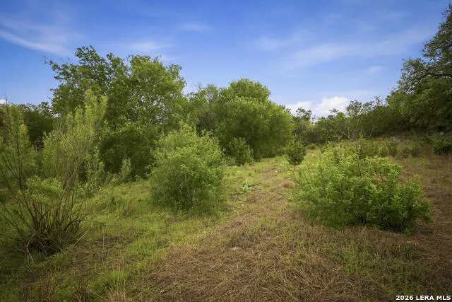 31368 Wildcat Dr Bulverde, TX 78163