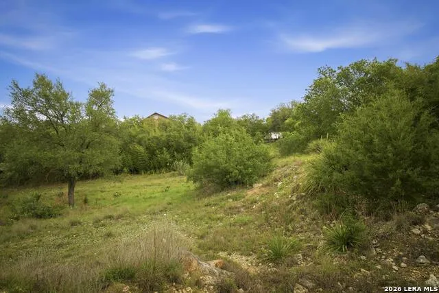 31368 Wildcat Dr Bulverde, TX 78163