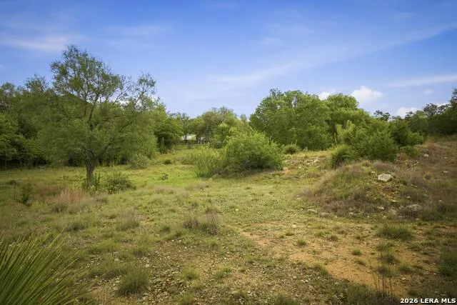 31368 Wildcat Dr Bulverde, TX 78163