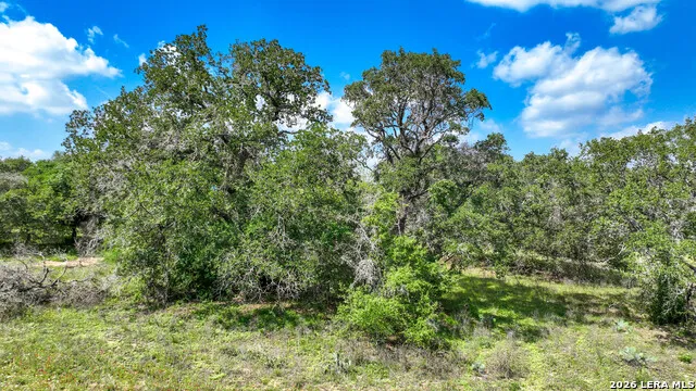 108 Misty Bend Floresville, TX 78114