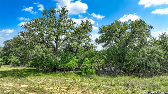 108 Misty Bend Floresville, TX 78114