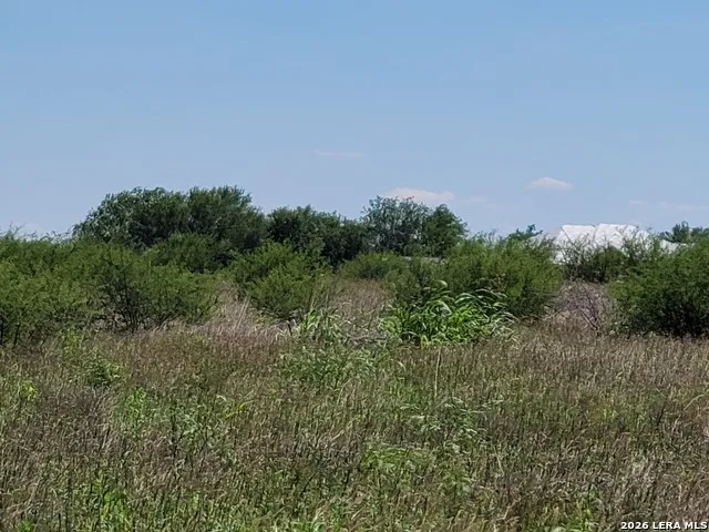277 Joy Ln Pleasanton, TX 78064