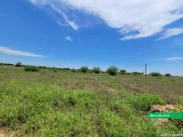 277 Joy Ln Pleasanton, TX 78064