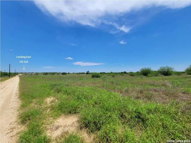 277 Joy Ln Pleasanton, TX 78064