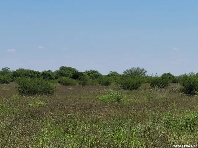 277 Joy Ln Pleasanton, TX 78064
