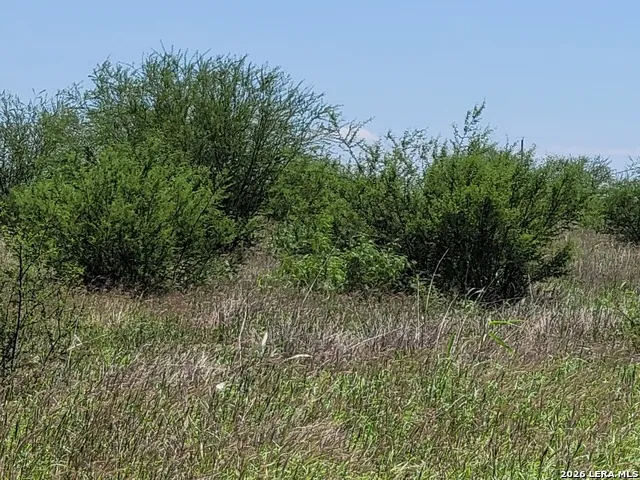 277 Joy Ln Pleasanton, TX 78064