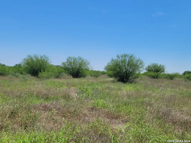 277 Joy Ln Pleasanton, TX 78064