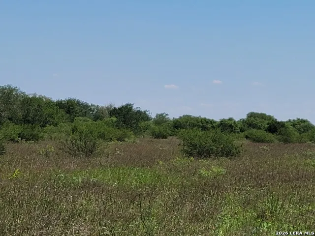 277 Joy Ln Pleasanton, TX 78064