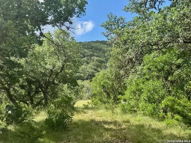0 John Buchanan Rd Leakey, TX 78873
