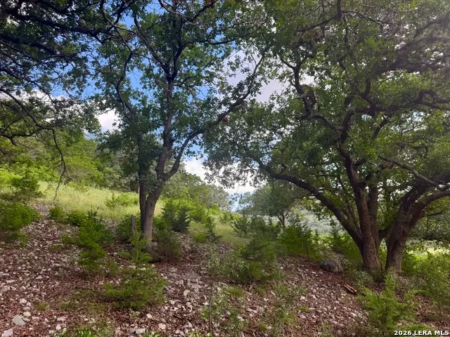 0 John Buchanan Rd Leakey, TX 78873