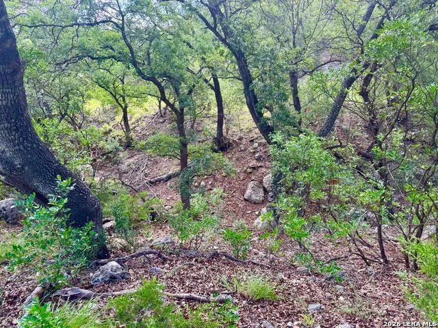 0 John Buchanan Rd Leakey, TX 78873