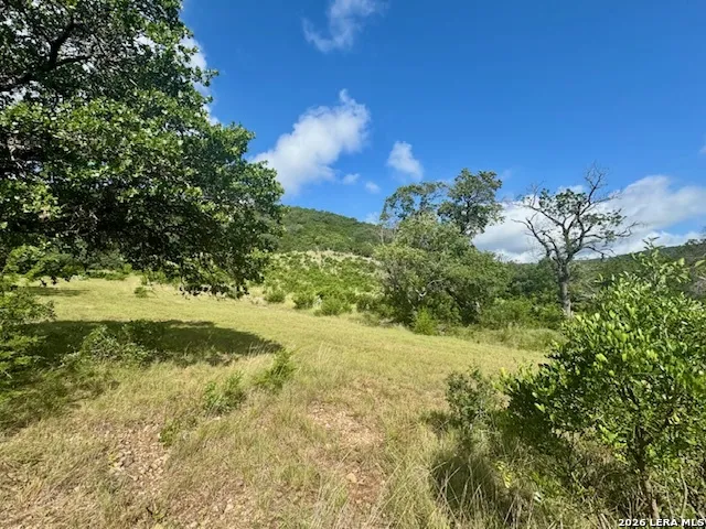 0 John Buchanan Rd Leakey, TX 78873